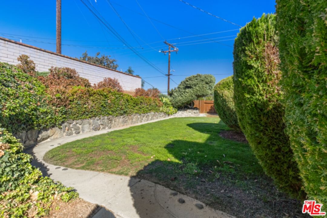 Finegrove photo 35