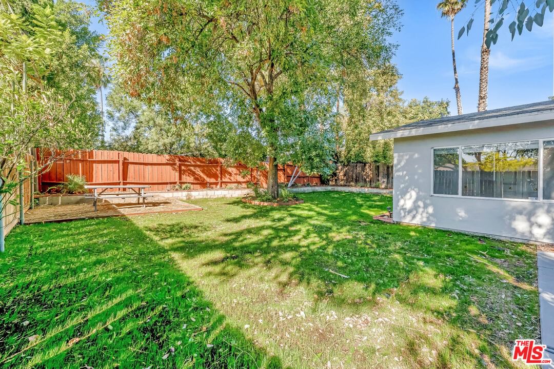 Comanche photo 37