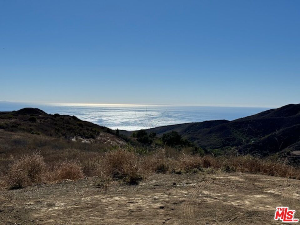Foose photo 19