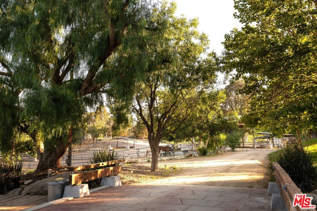 Agua Dulce Canyon photo 3