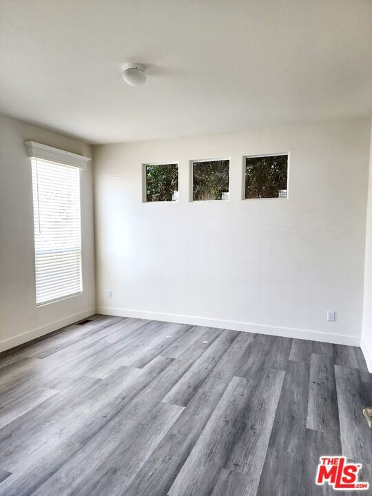 Avalon photo 17