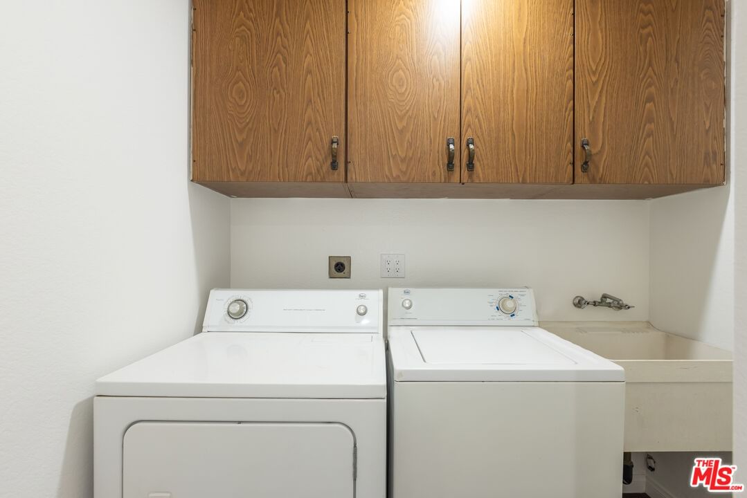 Walnut photo 19
