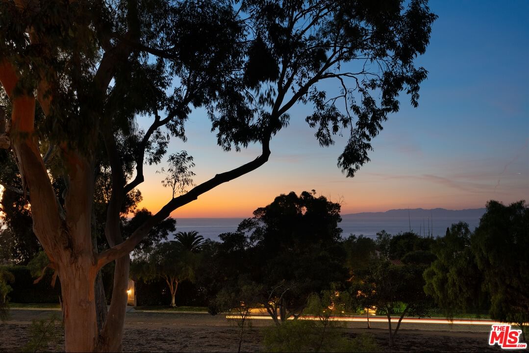Palos Verdes photo 24