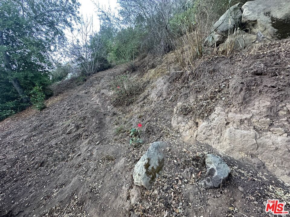 Observation photo 8