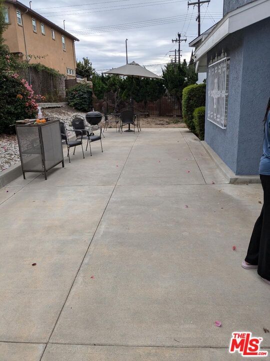 Bruin photo 13
