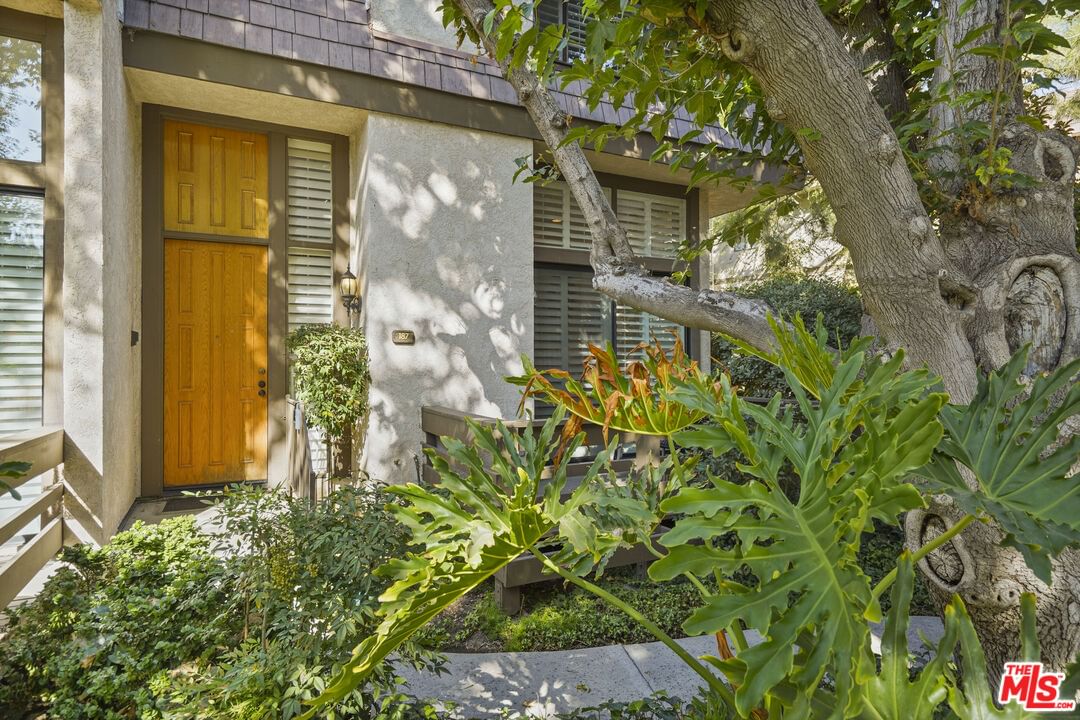 Vanalden photo 3