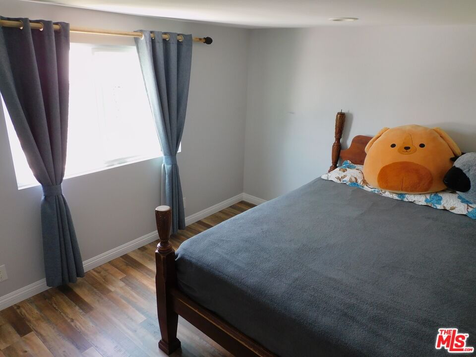 Garfield photo 37