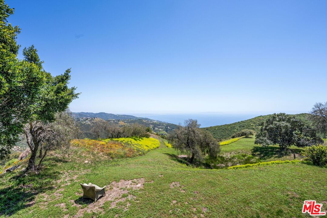 Costa Del Sol photo 52