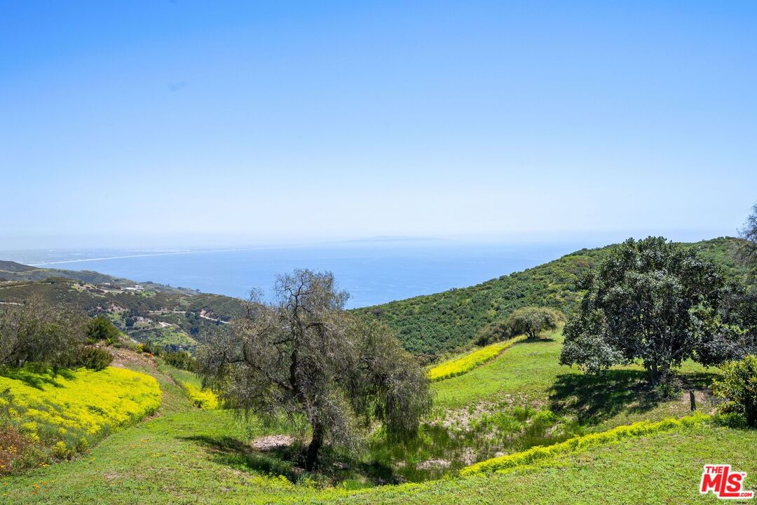 Costa Del Sol photo 53