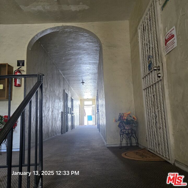 Belmont photo 5