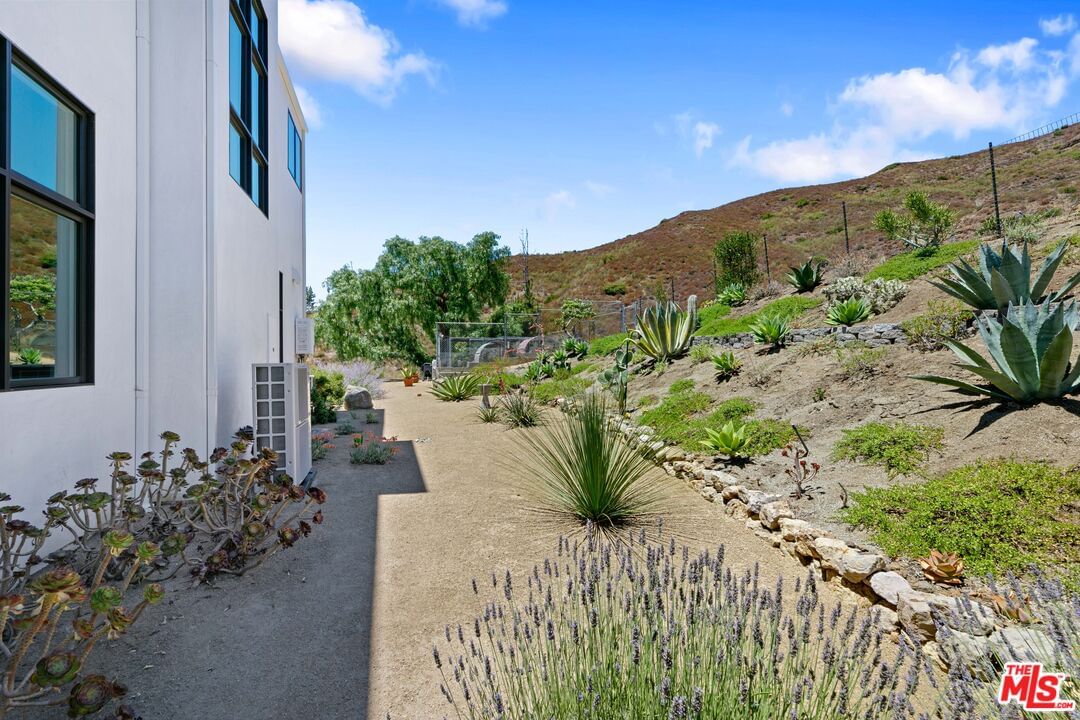 Mulholland photo 27