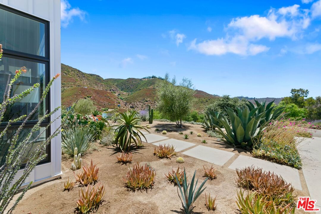 Mulholland photo 50