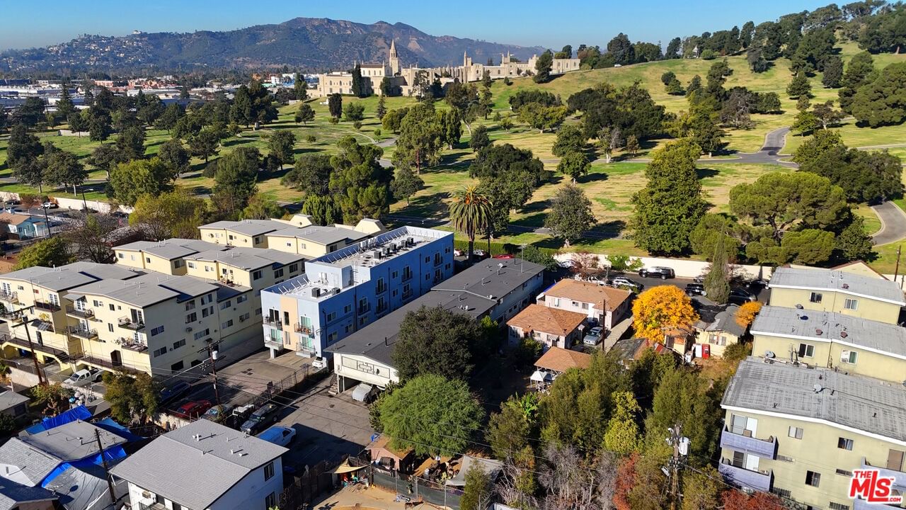 Chapman photo 8
