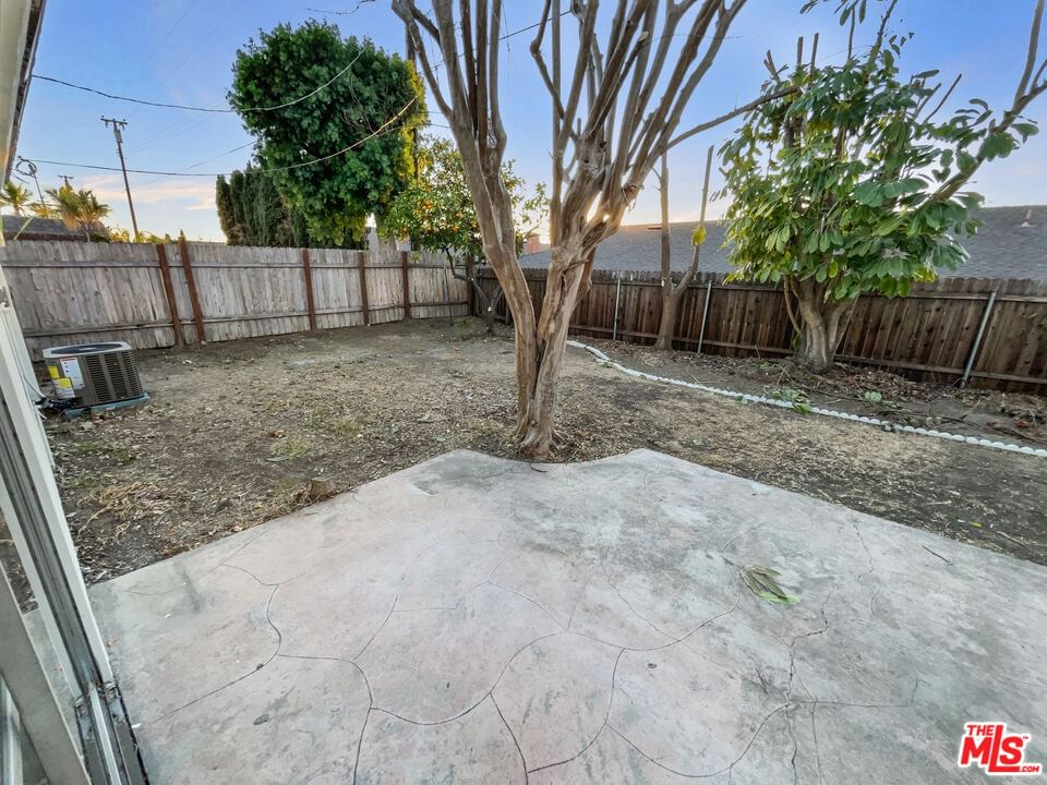 Pepper Tree photo 24