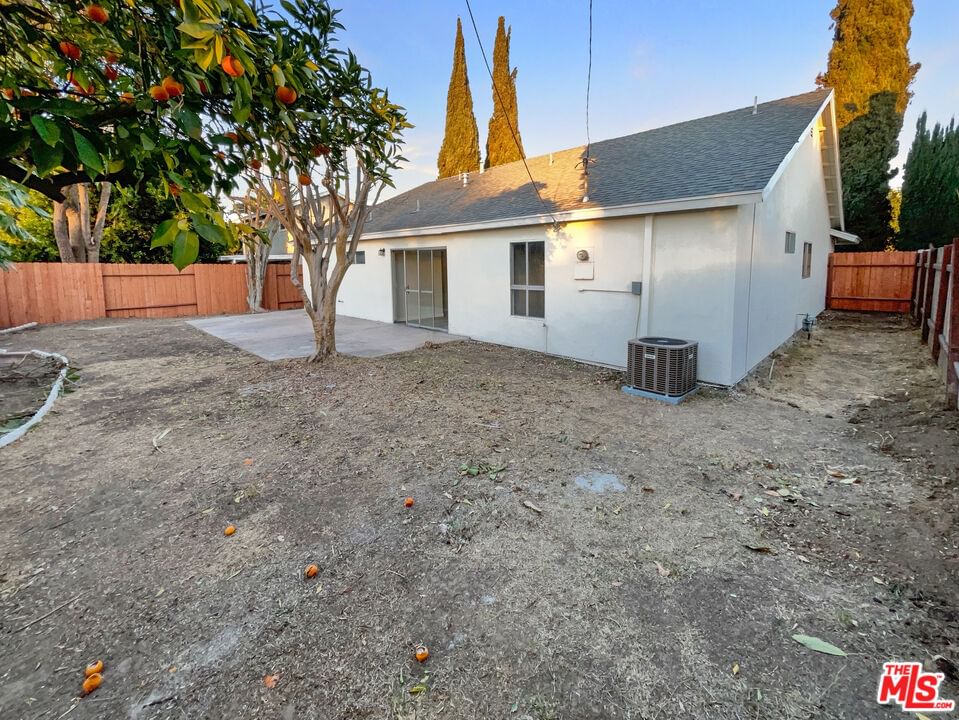 Pepper Tree photo 8