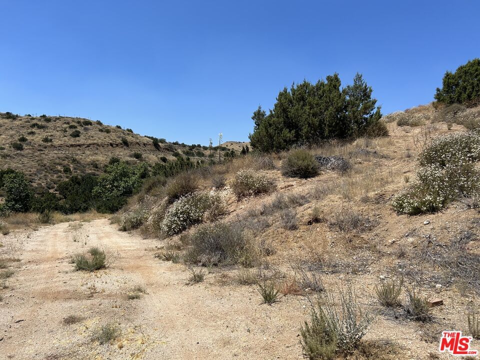 Escondido Canyon photo 62