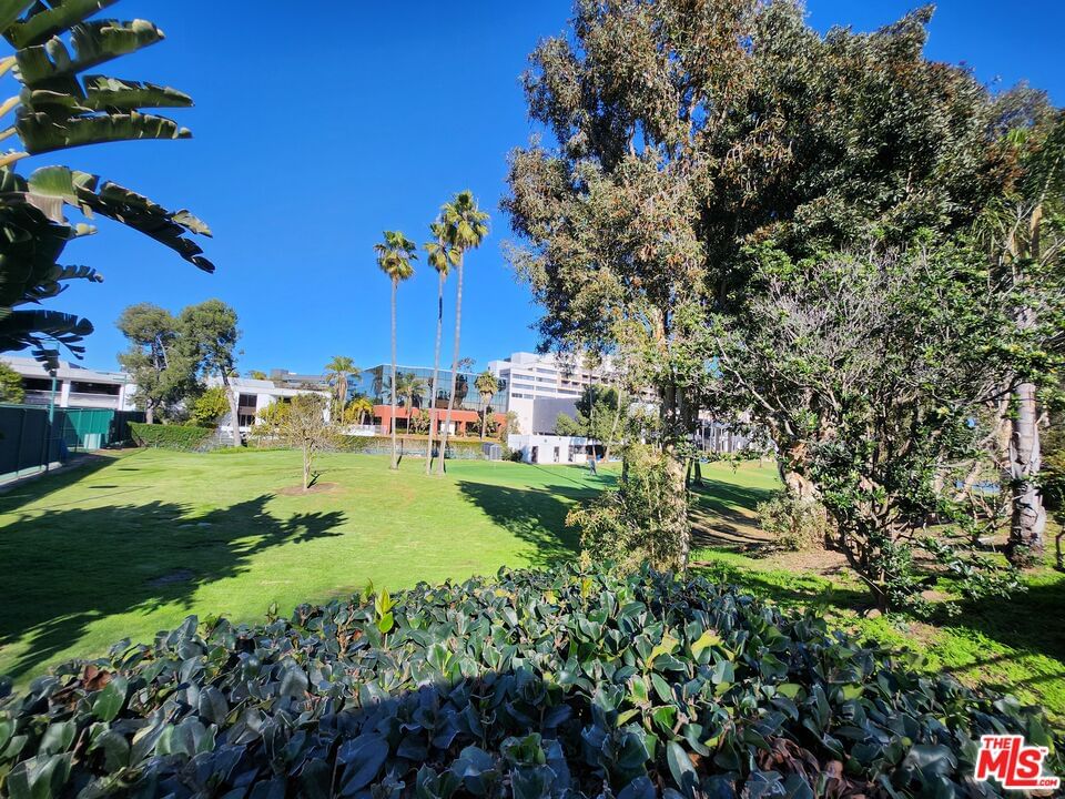 Westport photo 35