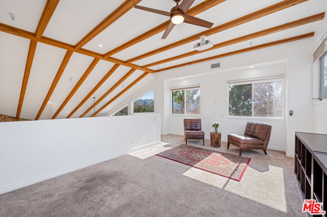 Mulholland photo 33