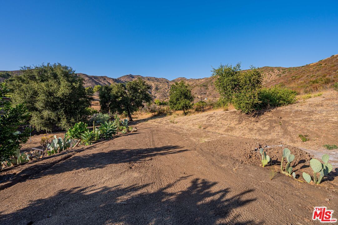 Mulholland photo 41