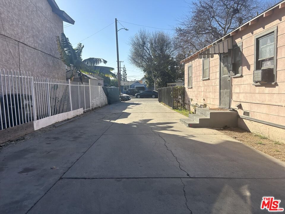 Felix photo 12