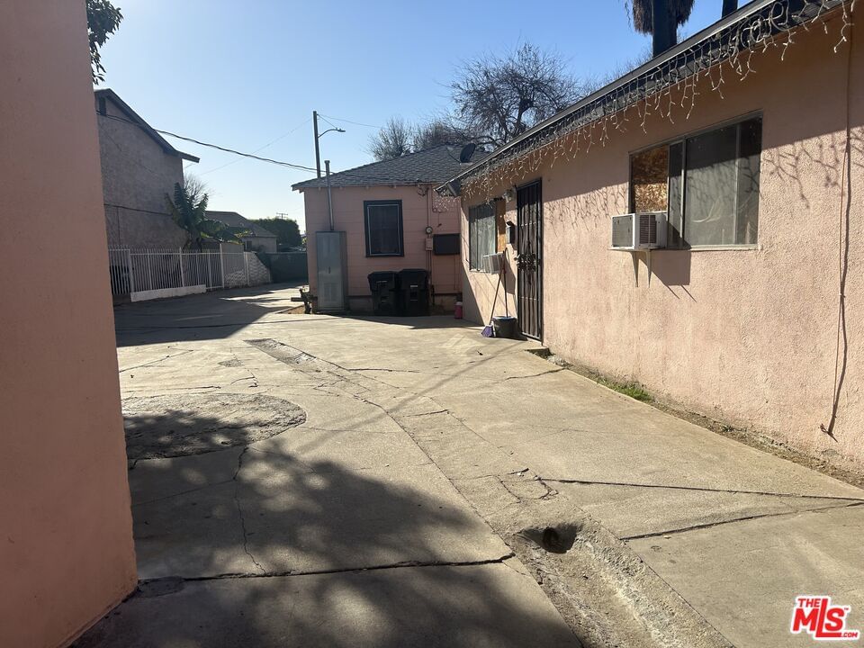Felix photo 8