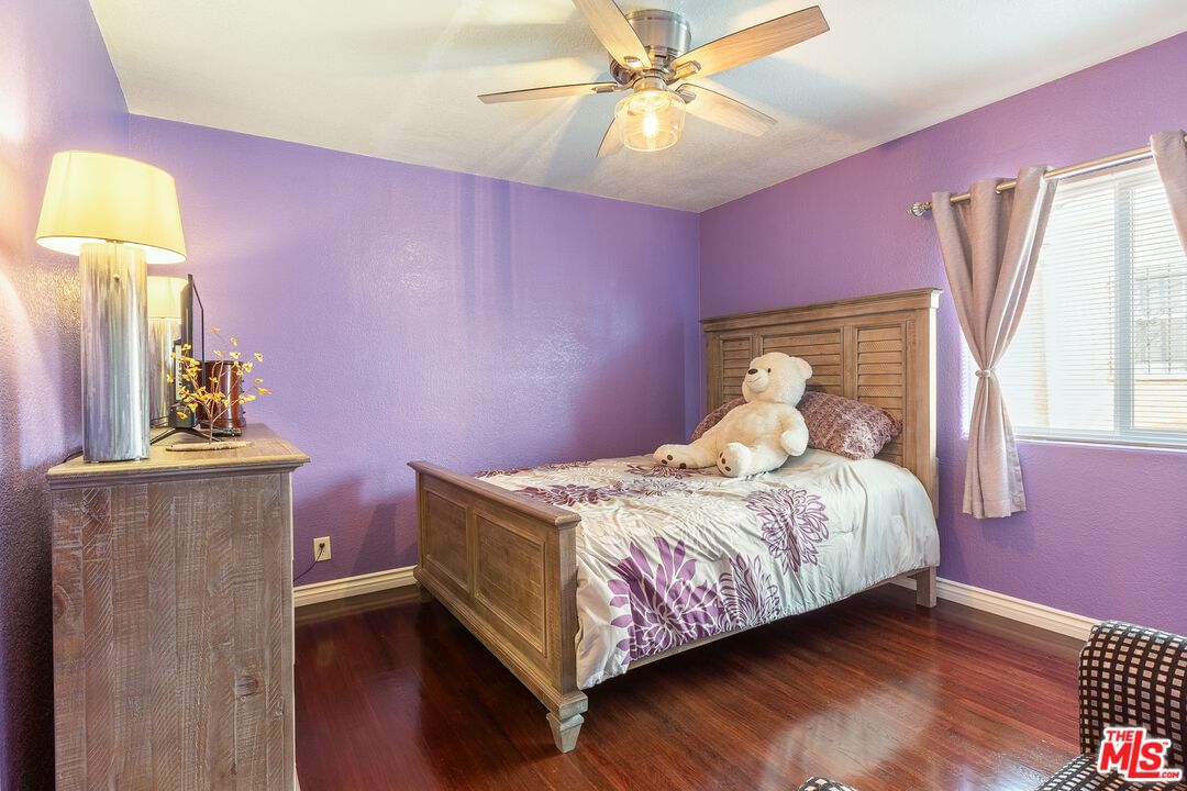 Palm photo 21
