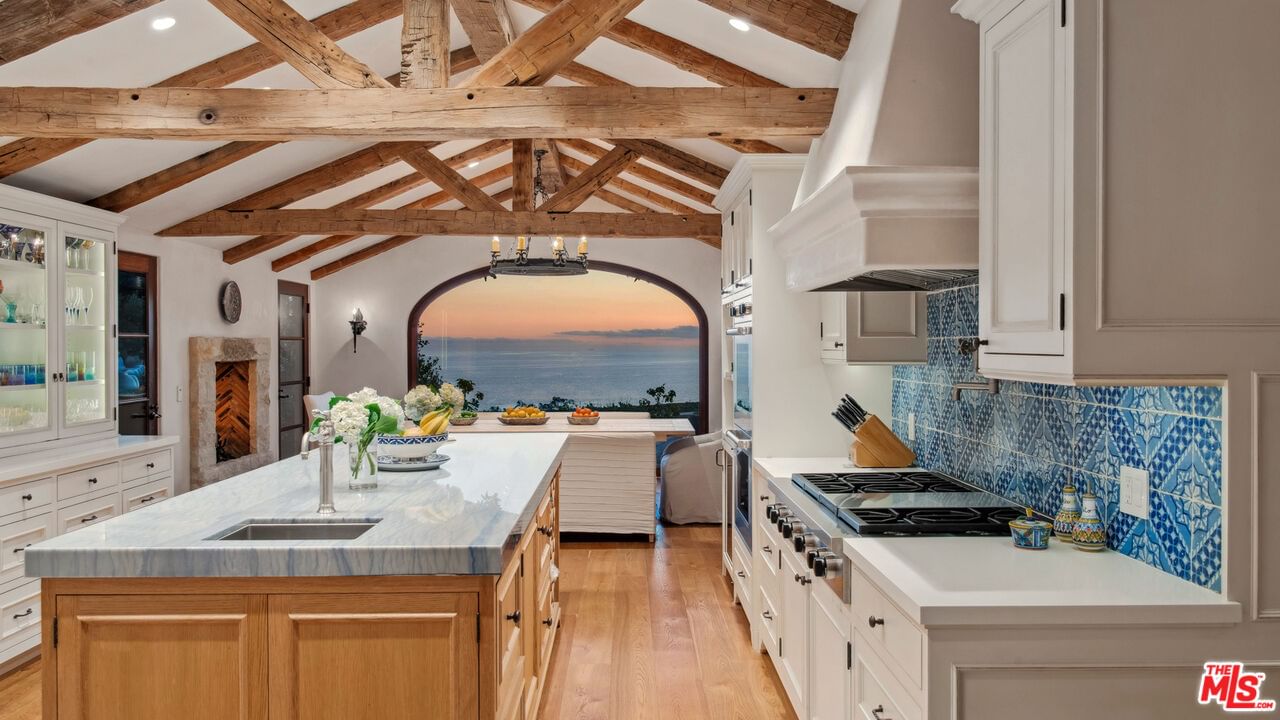 Blue Dane photo 33