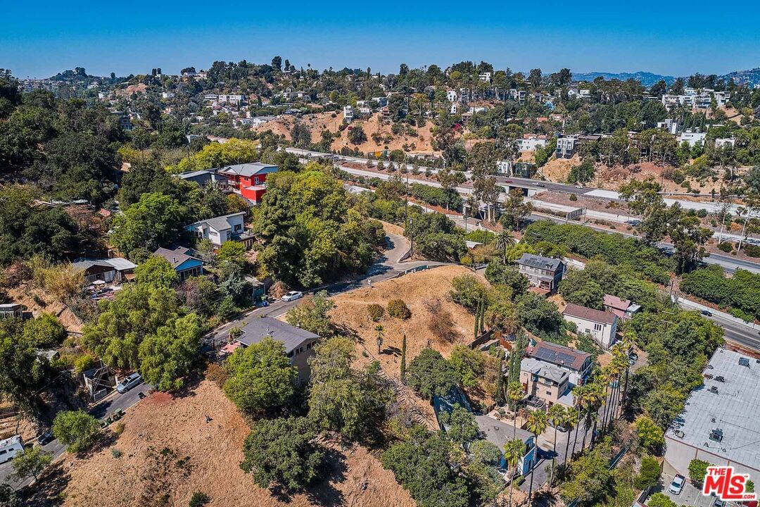 Rosebud photo 14