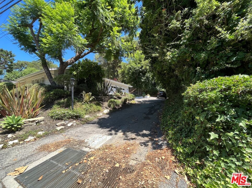 Mandeville Canyon photo 7