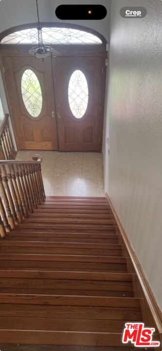 Mapes photo 8