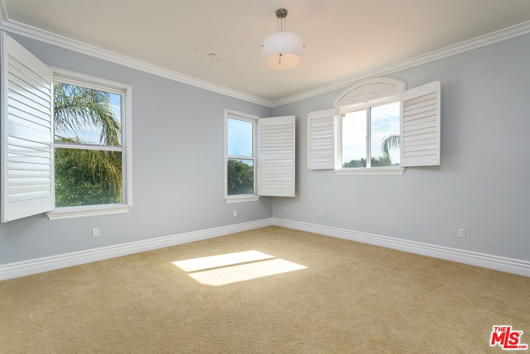Pacific Oak photo 57