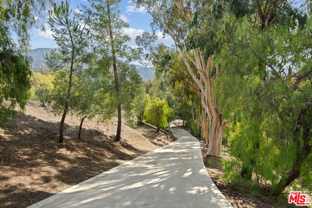 Mulholland photo 73