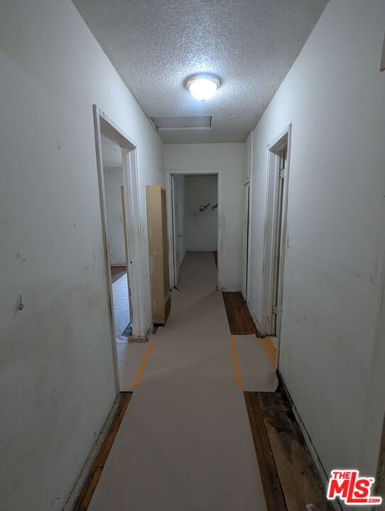 Osborne photo 21