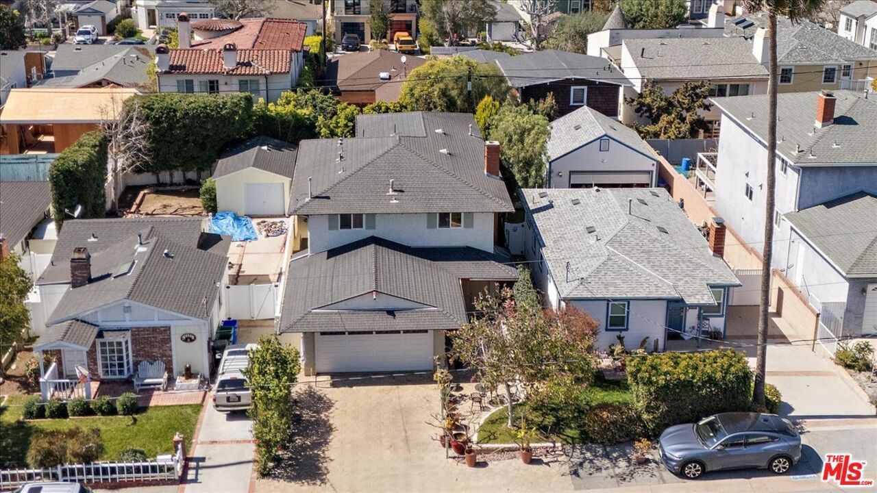 Oak photo 40