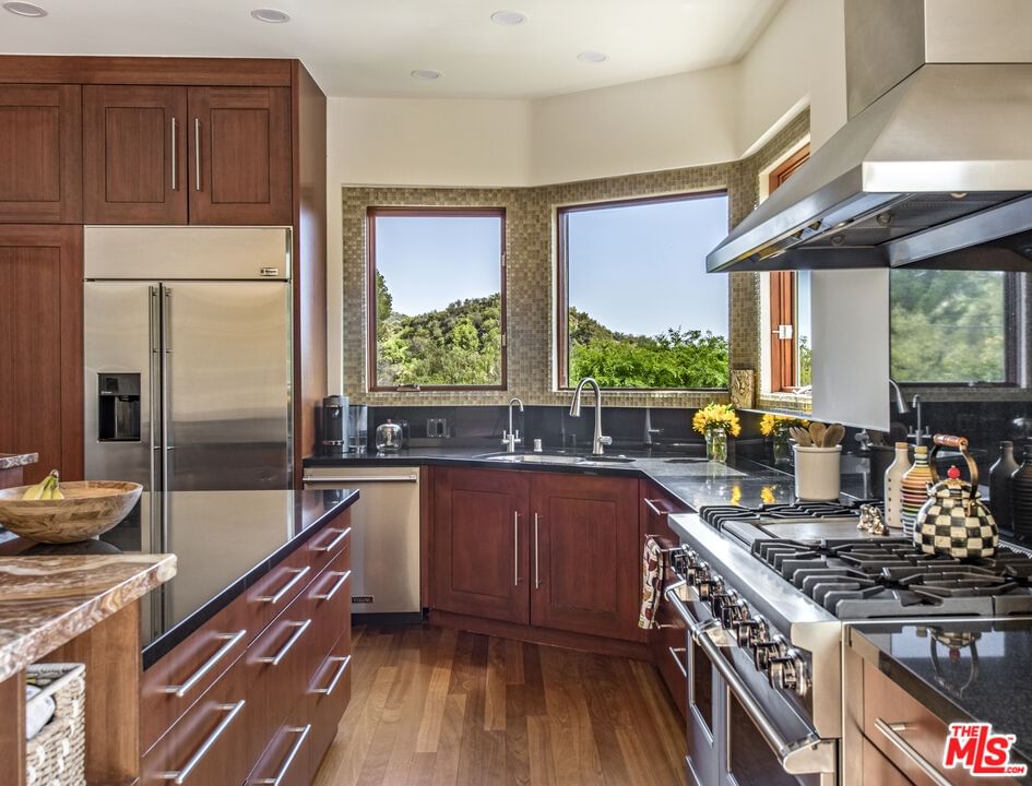 Topanga Skyline photo 14