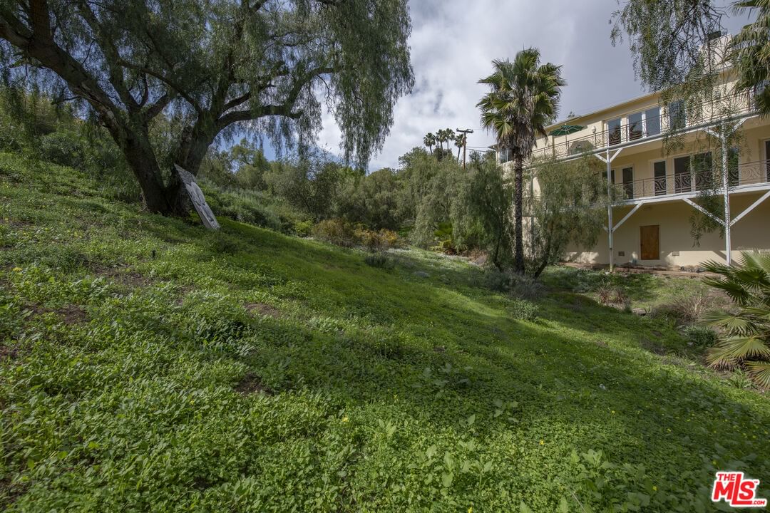 Topanga Skyline photo 44