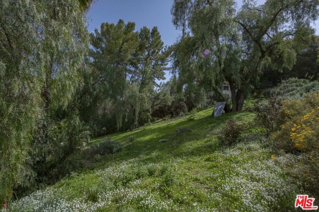 Topanga Skyline photo 45