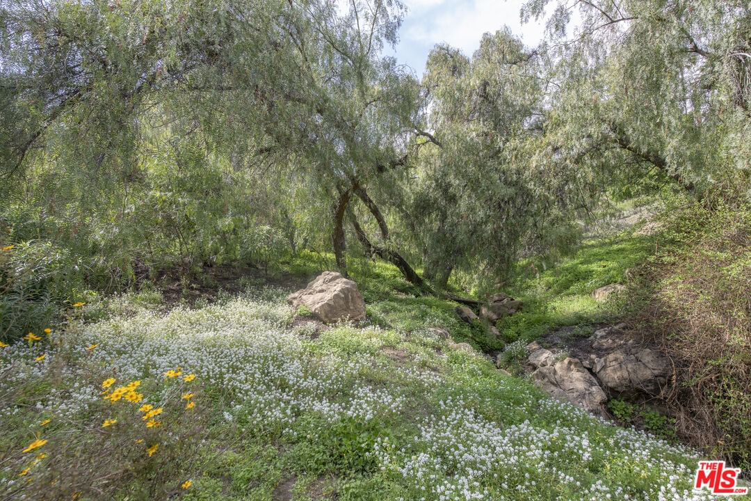 Topanga Skyline photo 46