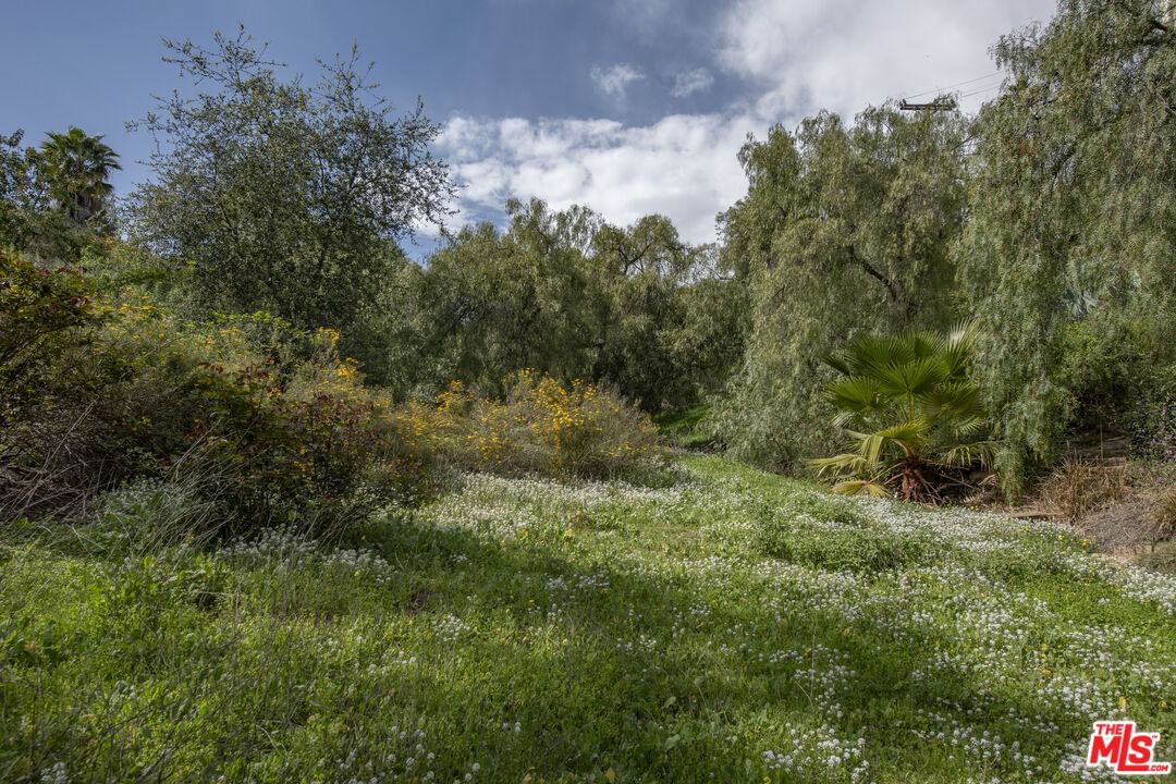 Topanga Skyline photo 47