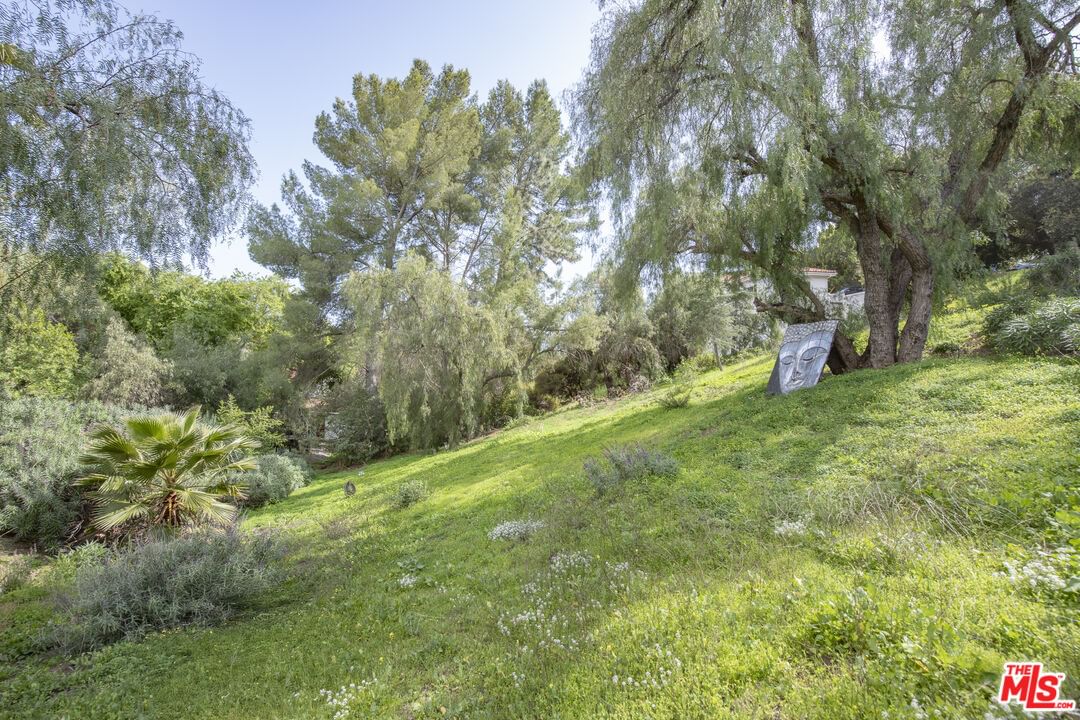 Topanga Skyline photo 48