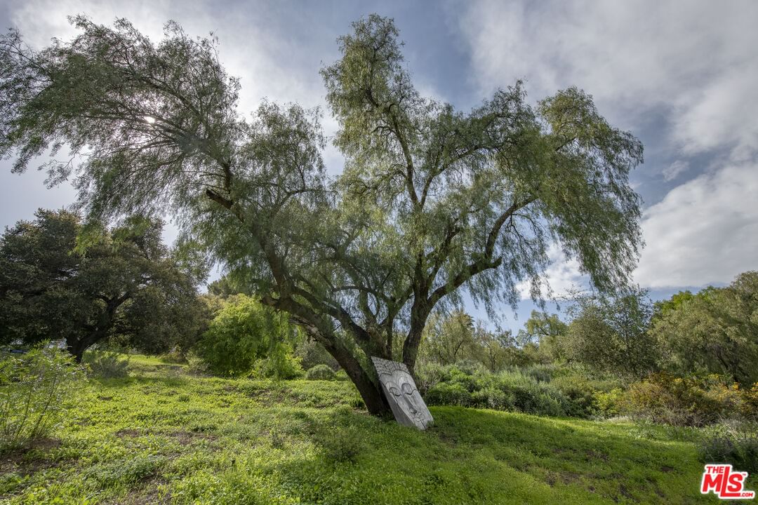 Topanga Skyline photo 49