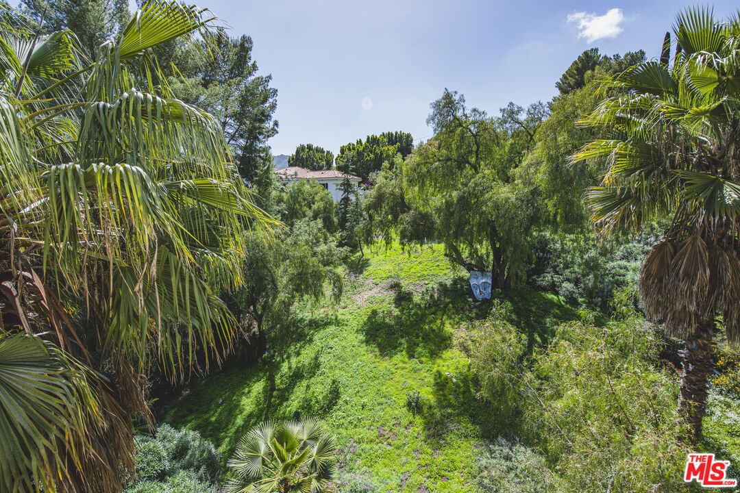 Topanga Skyline photo 9