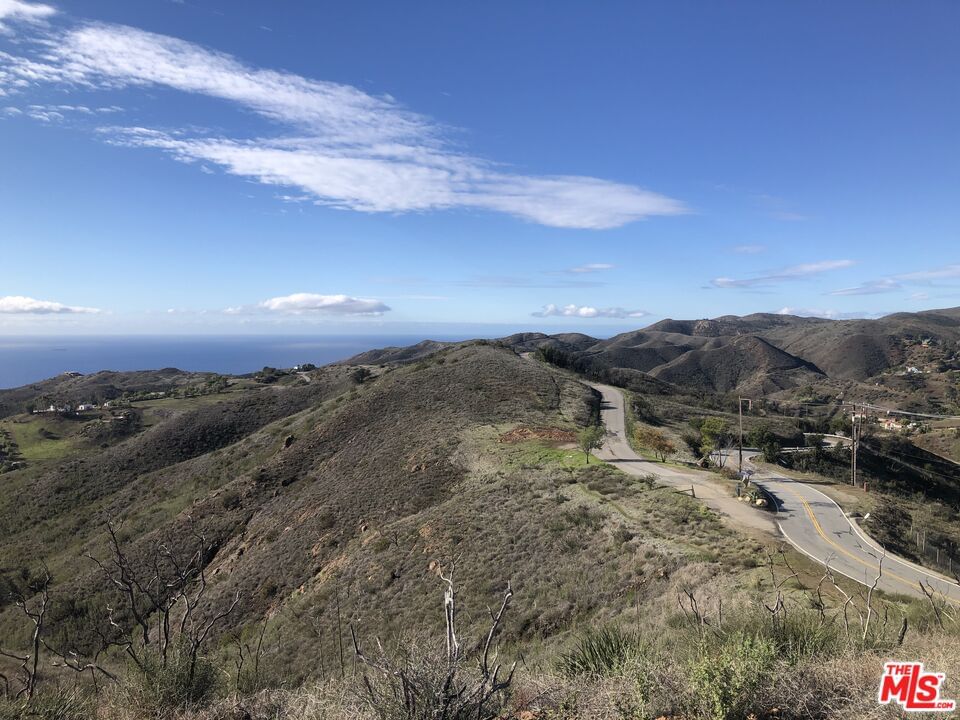 Foose photo 4