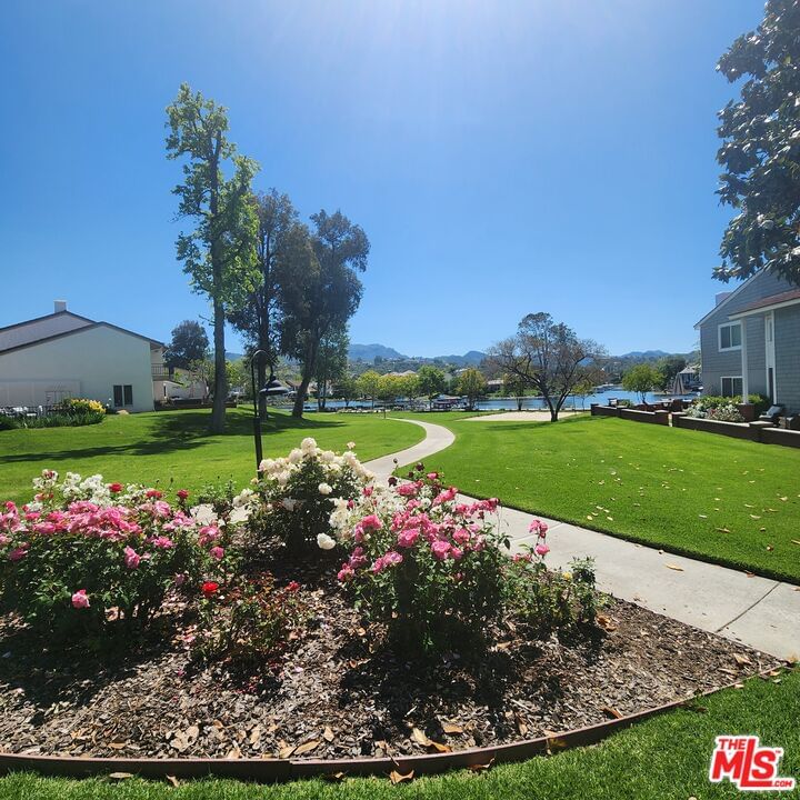 Beachlake photo 52