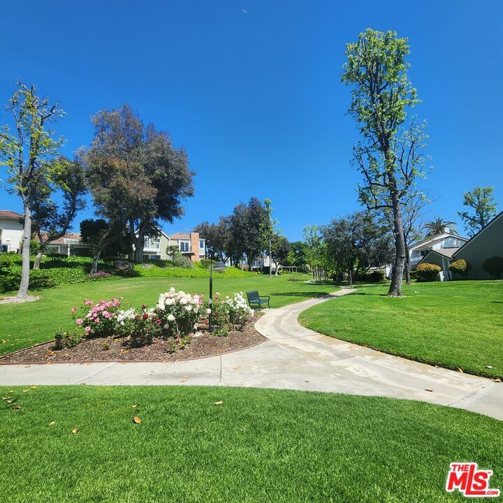 Beachlake photo 64
