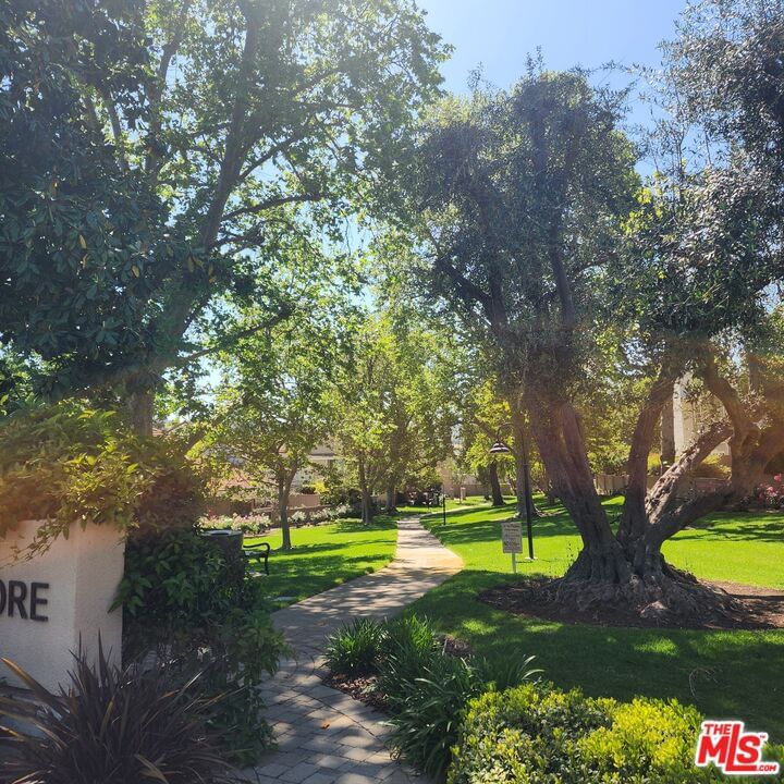 Beachlake photo 67
