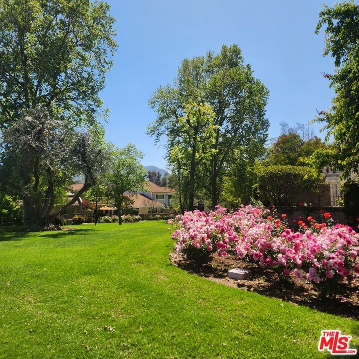 Beachlake photo 68