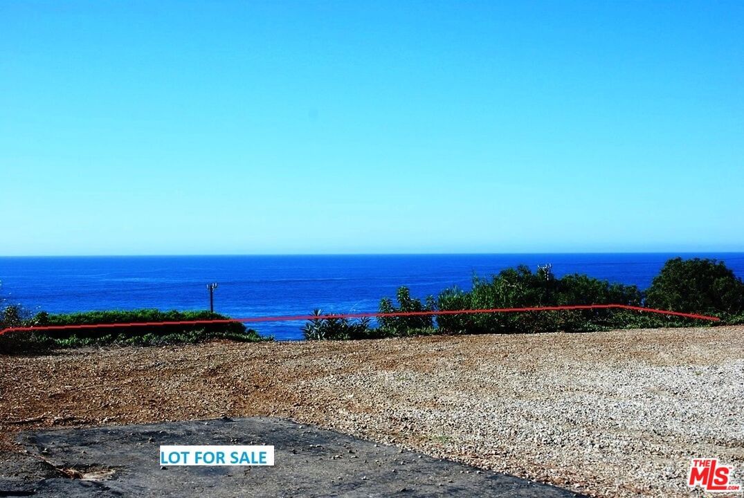 PACIFIC COAST photo 10
