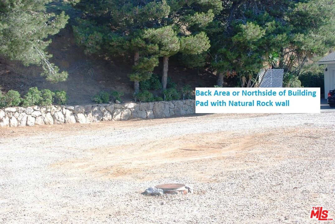PACIFIC COAST photo 12
