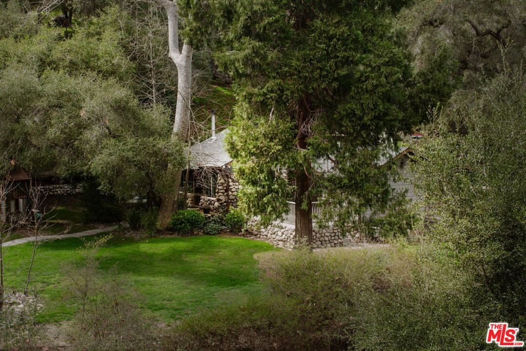 Oakwood photo 18